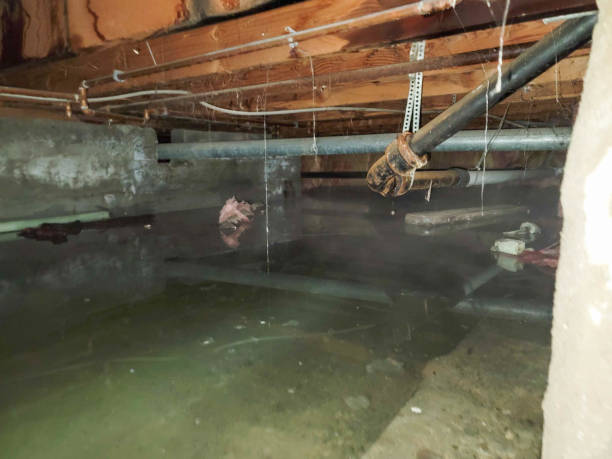 Best Water damage restoration specialists  in Victor, ID