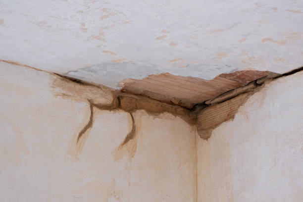 Best Local water damage restoration  in Victor, ID