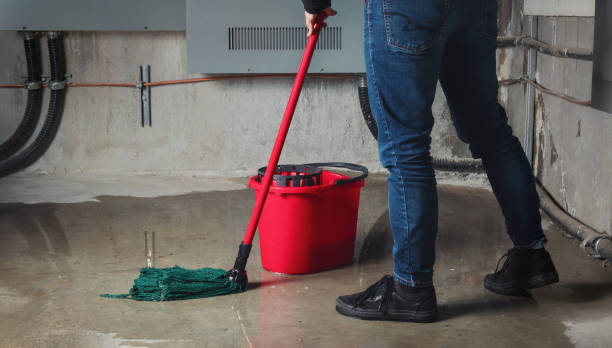 Best Ceiling water damage repair  in Victor, ID